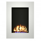 Биокамин ALBERT (ZeFire) Биокамин ALBERT (ZeFire)