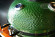 Керамический гриль SG с окошком, 57 см / 22 дюйма (зеленый) (Start Grill) в Краснодаре
