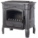 Печь-камин Gunter (FireWay) Печь-камин Gunter (FireWay)